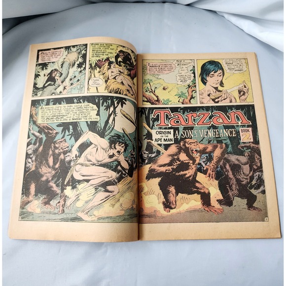 Tarzan of the Apes Comic Book #205 May 1972 DC 2nd Issue Edgar Rice Burroughs - Picture 8 of 10